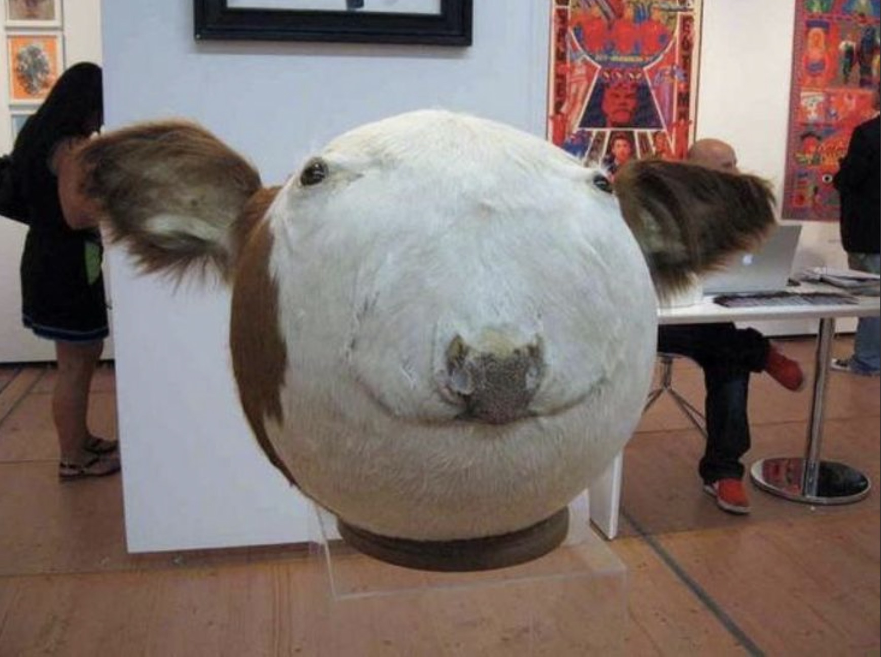 sphere cow